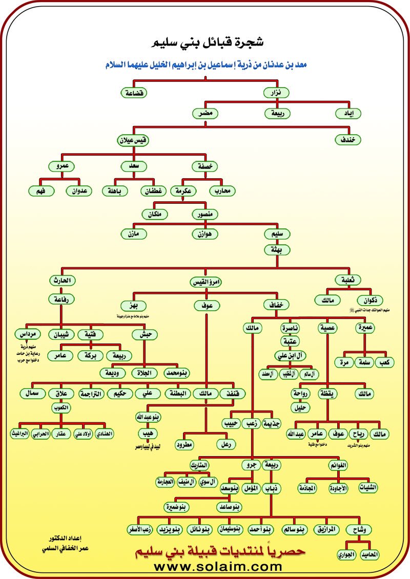قبيلة المرنه Twitterissa قبيله سليم خوال الرسولﷺ شجرة قبائل بني س ليم والتي قام على إعدادها الدكتور عمر الخفافي السلمي