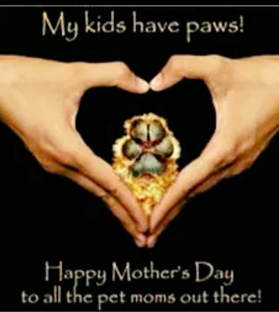 3PEditing's tweet image. Happy Mother's Day from 3P Editing! 3pediting.com