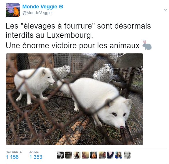 _Naeray's tweet photo. Les bonnes nouvelles existent 🌍 https://t.co/OQGMUcqy8q