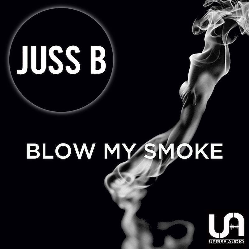 SignalfireNL's tweet image. . @subsourcemag reviews @JussB_dj's 'Blow My Smoke' LP out on @UpriseAudio. 🔥

⏩ sgfr.nl/jussb-ualp007-…

#dubstep #bass #review #dub #audio