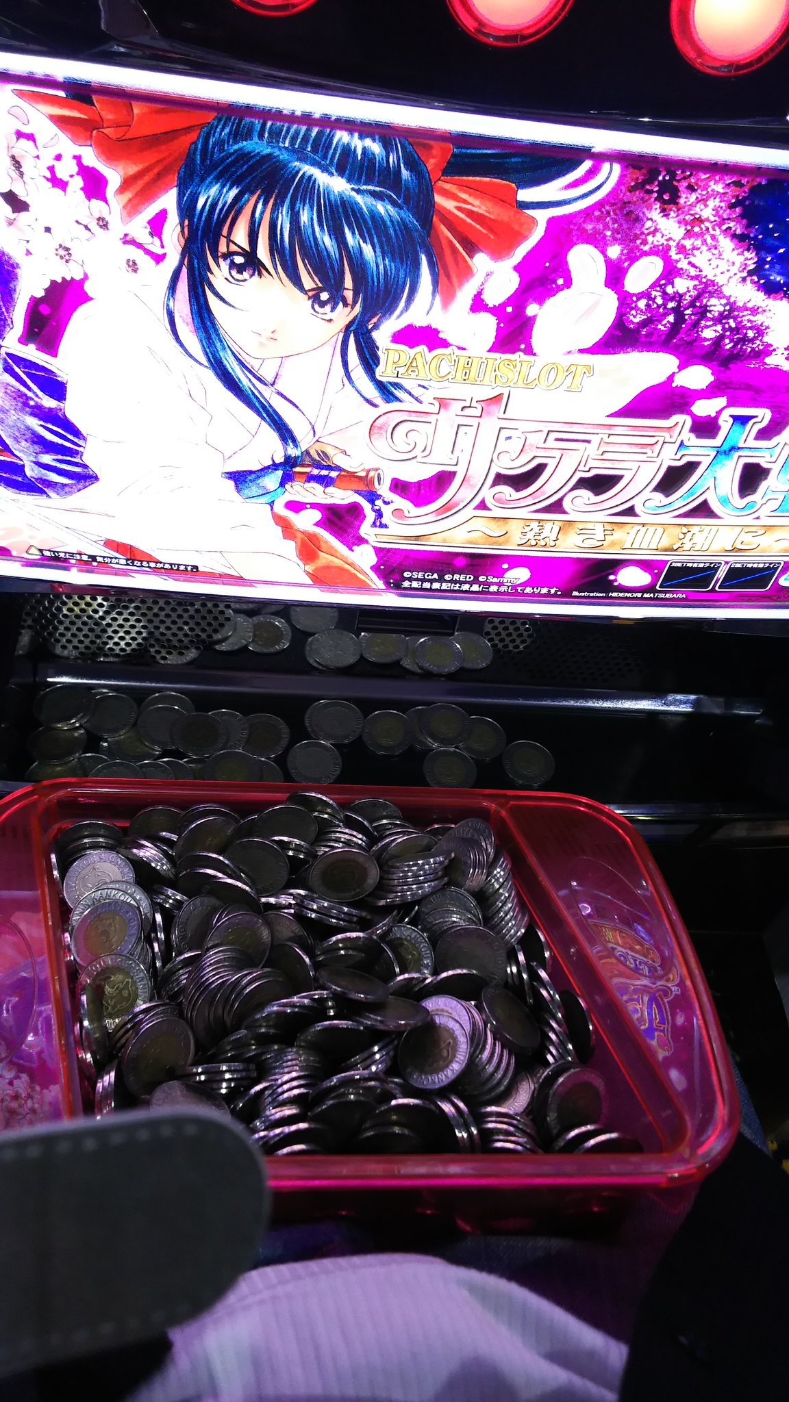 川野 泰紀 Kiss Twitter