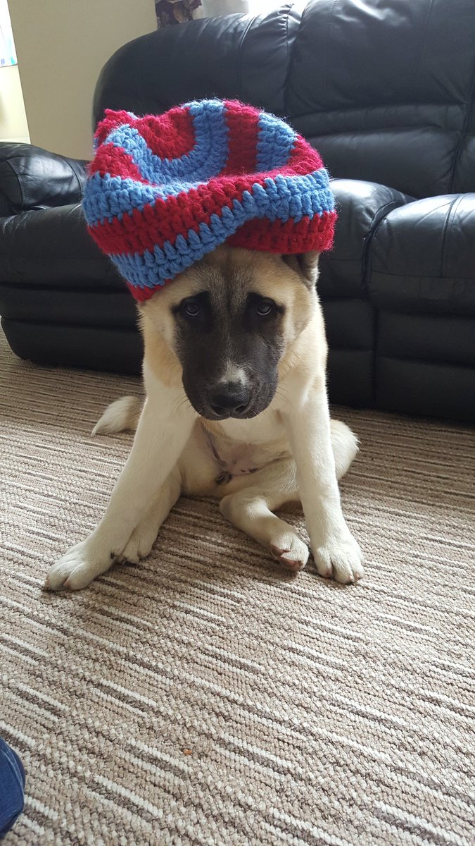 Fellwolf's tweet photo. All ready to go support @BucksRFUNews for the match today (ok, we only have a @CheshamStags hat, but there are a load of @CheshamWrfc girls) https://t.co/Jq9Z6kvToZ