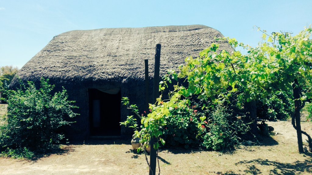 FoodTravelTL's tweet photo. Visitamos el centro de interpretación de La #Mayeteria @TurismoRota @AndaluciaTB @RotaAyto #CBallenaRotaATB https://t.co/a6tuW6E3sL