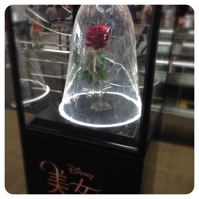 美女と野獣のtwitterイラスト検索結果 古い順