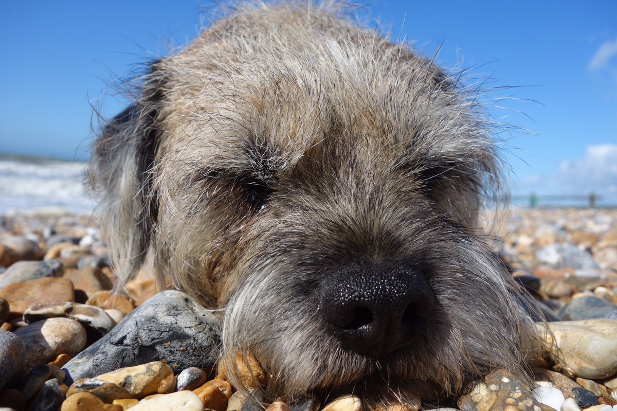 davidwalliams's tweet photo. My boy. https://t.co/0QpcP1yU4D