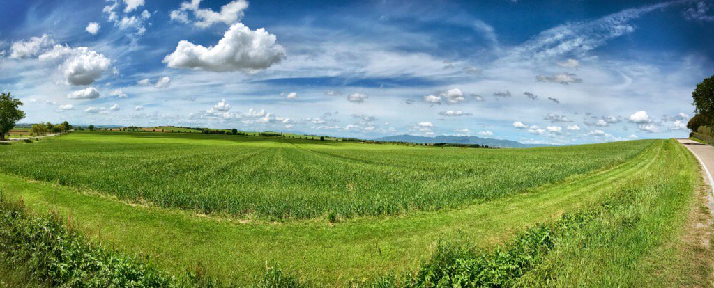 PGista's tweet image. 🚴