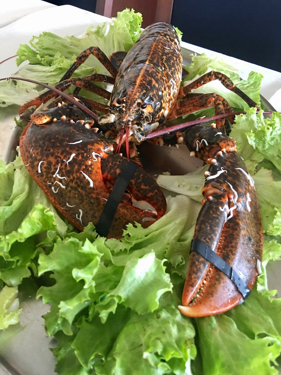 I'm at Dolphin Balık Restaurant in İstanbul swarmapp.com/c/ei2aOQK0TvH