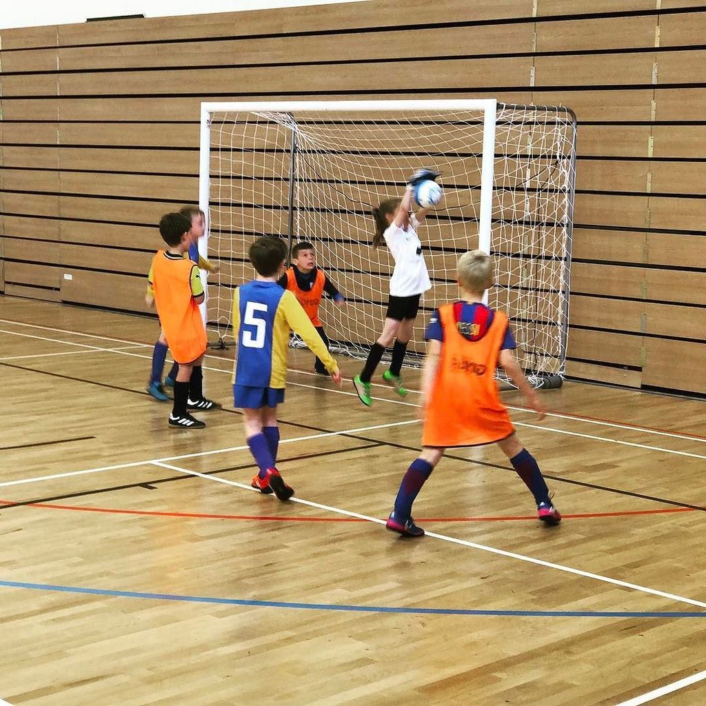 shekicks.it tweet media