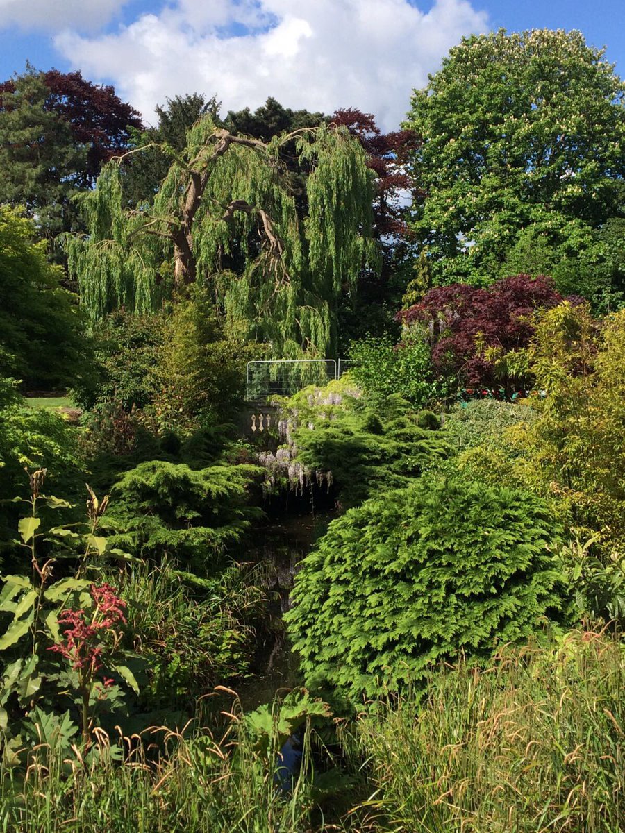 Dulwich Park beauty 🌳