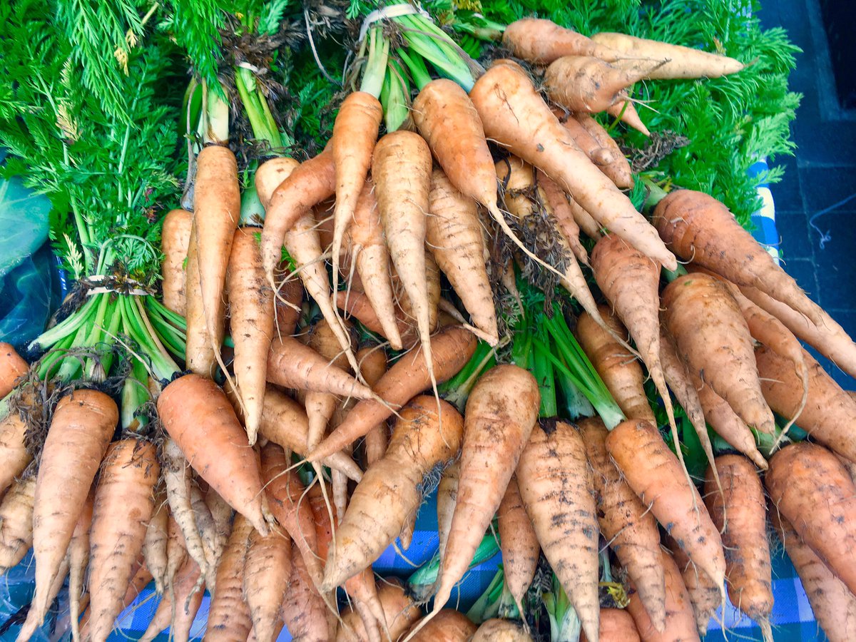 I asked one of our readers what they thought of our magazine. 
"It's gold!" They said. 
"Really?" I asked.
"Yeah," he said "24 carrot!" 🥕