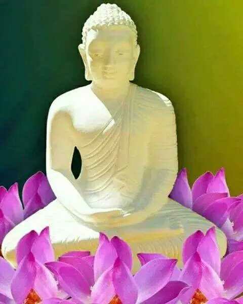 BELLALMAMIA's tweet photo. Promote your posts with the Crowdfire Creator Program
https://t.co/5Q4FNo8k7U https://t.co/8ZuGuM8a4q