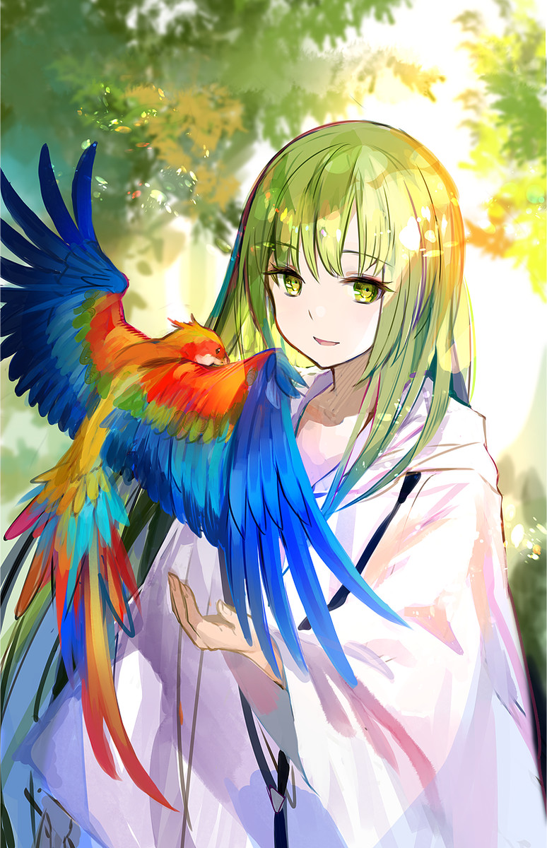 藤ちょこ 画集発売中 エルキドゥ Fgo Fatego