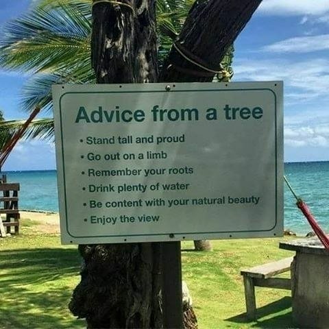 No Attachment tweet media