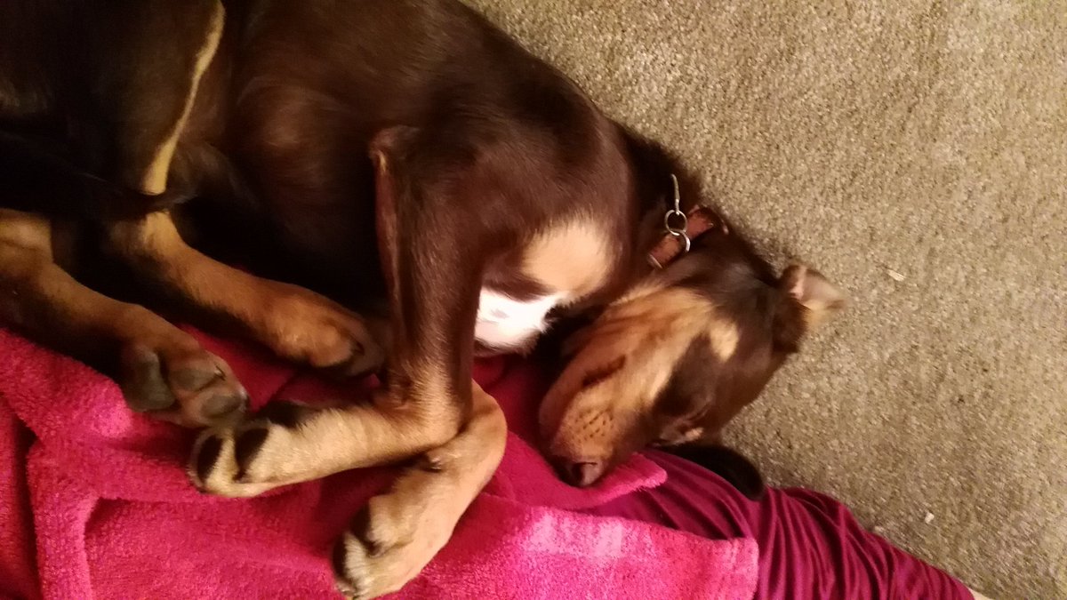 Sammyjo2000's tweet image. Too cute!!