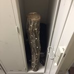 その段階からかよwロッカーあけたらしいたけの原木が入ってたw