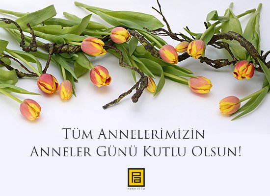 C_yqMfGWsAA6g08.jpg:large