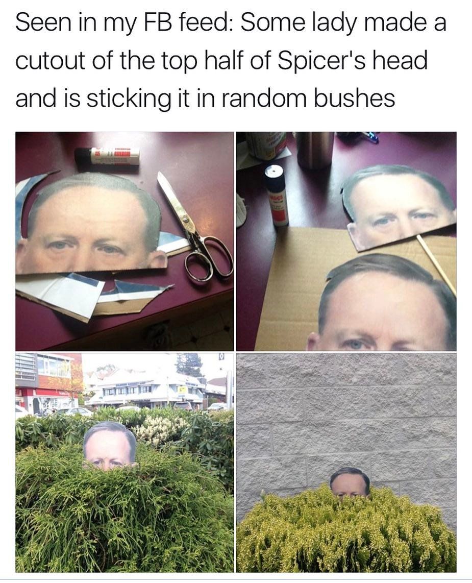 This is so damn funny