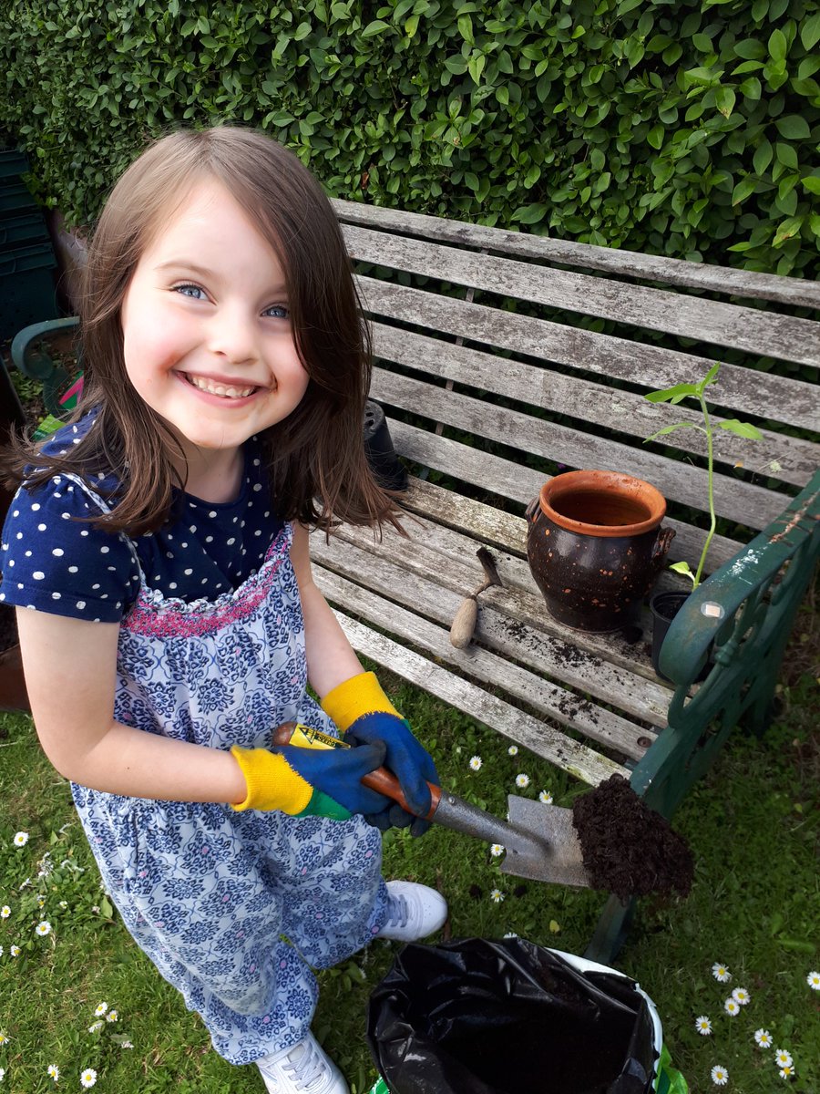 ButlandKerry's tweet photo. Erin has been busy re-potting her sunflower this weekend @coberpupil https://t.co/Bf4WJlth3b