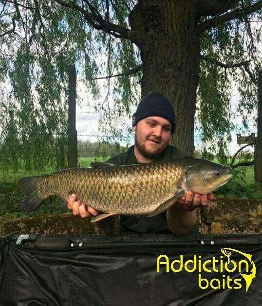 AddictionBaits's tweet photo. 💥🎣CATCH REPORT 💥🎣George Till &amp; Ryan Alex Edwards #Shatterfordlakes  10lb -21.5 lb koi at 11.4 lb
On #addict1, crushed pva filling and glug. https://t.co/OCfdOzpcXp