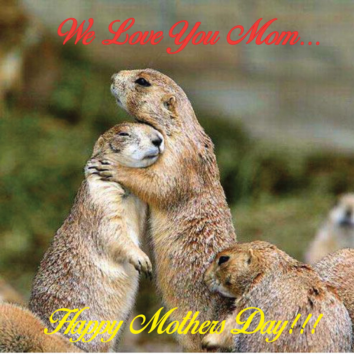 BigFrogJohnsCrk's tweet photo. Happy Mothers Day to all the moms who give so much to make our lives special.  #specialmom https://t.co/3djEdxp82X