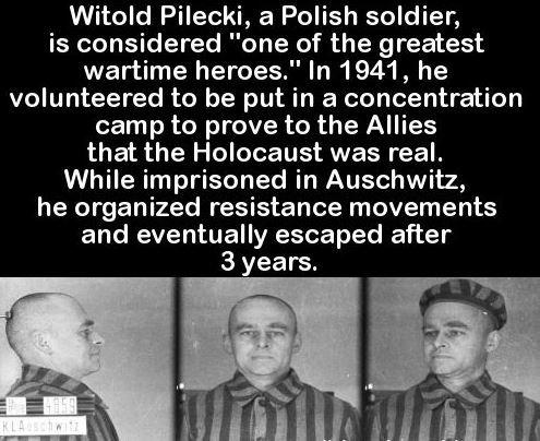 Ojdadana's tweet image. The communist regime wanted to erase the memory of Witold Pilecki
Alas, his name was also forgotten by the Allies toi.sr/2pLeIM1