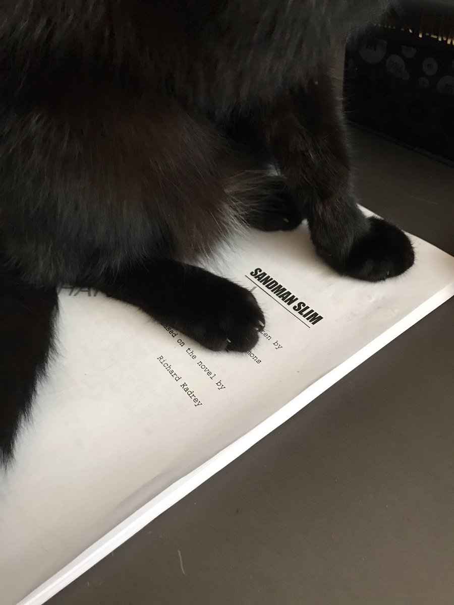 Aces helpfully guards the Sandman Slim script so I can't read the damn thing.
