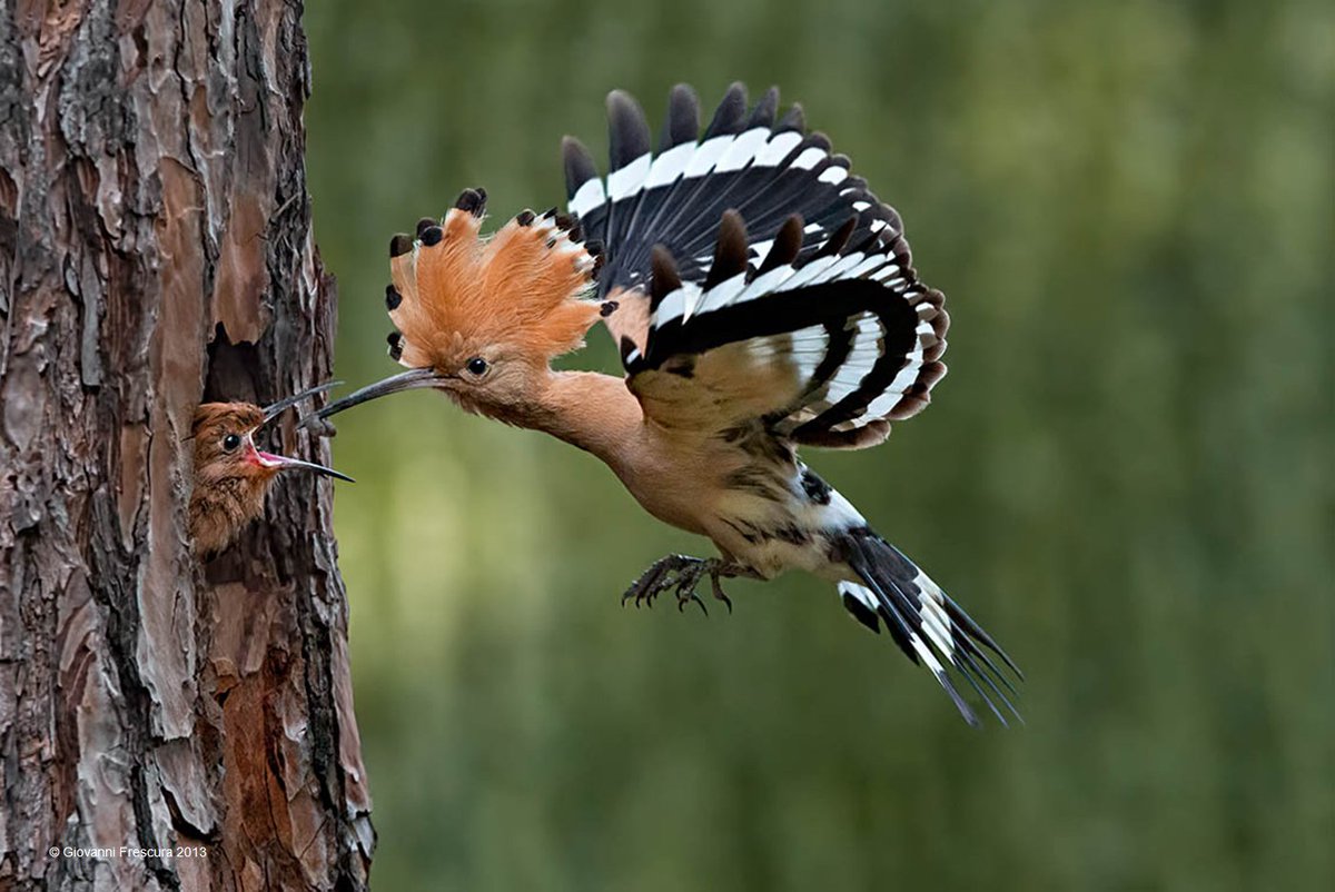 Annelik, bu hayatın maddeden ibaret olmadığının en büyük kanıtıdır.