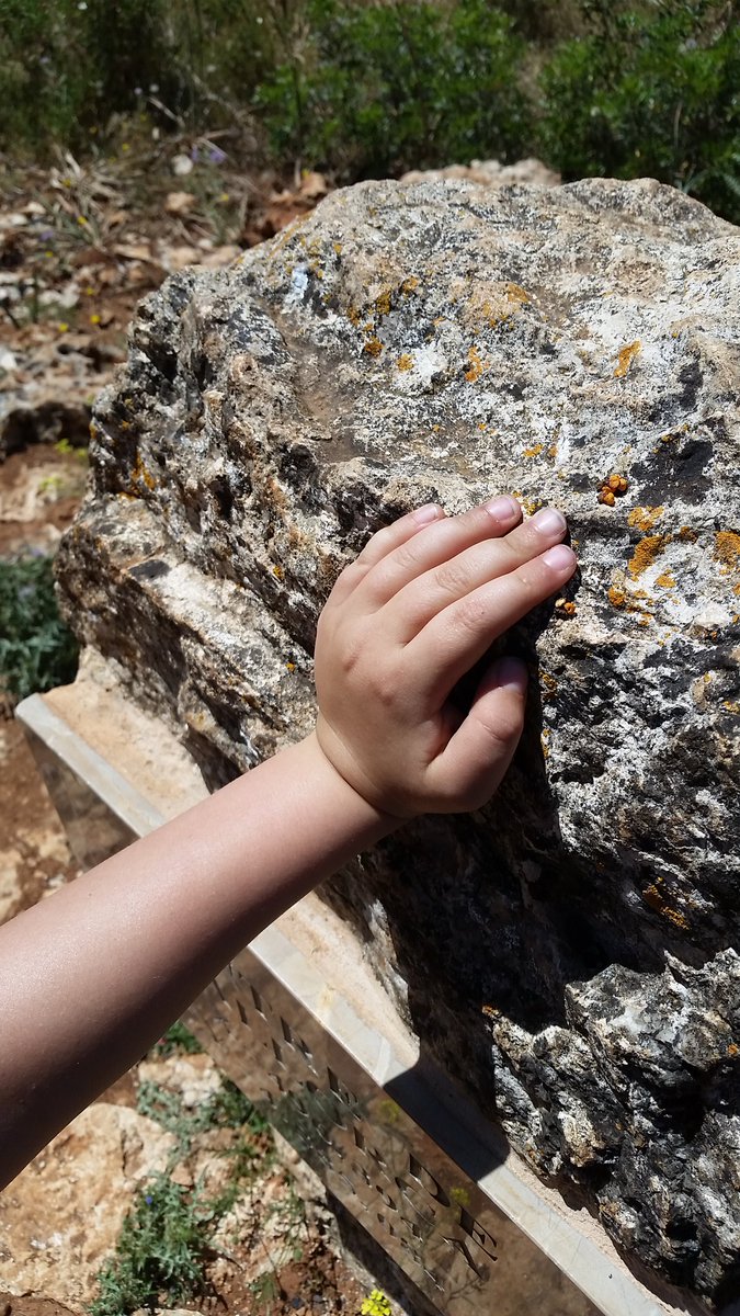 pekesmallorca's tweet image. #domingo de #excursión al centro exacto  de #mallorca #mallorcaenfamilia #excursionesconniños #senderismo #familia #niños #familiasenruta
