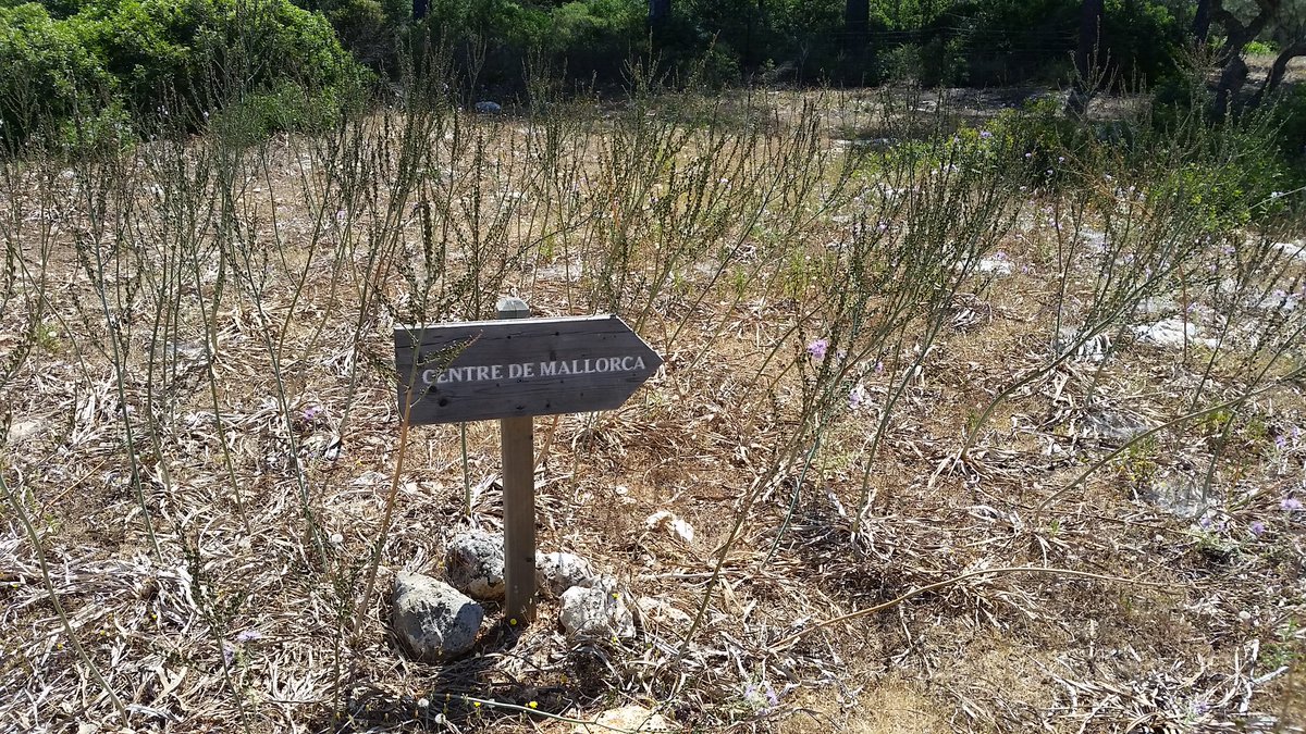 pekesmallorca's tweet image. #domingo de #excursión al centro exacto  de #mallorca #mallorcaenfamilia #excursionesconniños #senderismo #familia #niños #familiasenruta