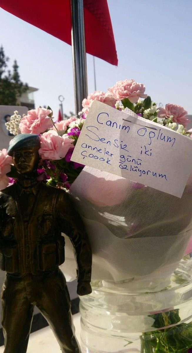 teroretavizyok_'s tweet photo. Sur'daki meskun mahal operasyonunda   şehit düşen Astsubay Doğukan Tazegül'ün annesinin evladına mesajı.. https://t.co/5q1n64U4of