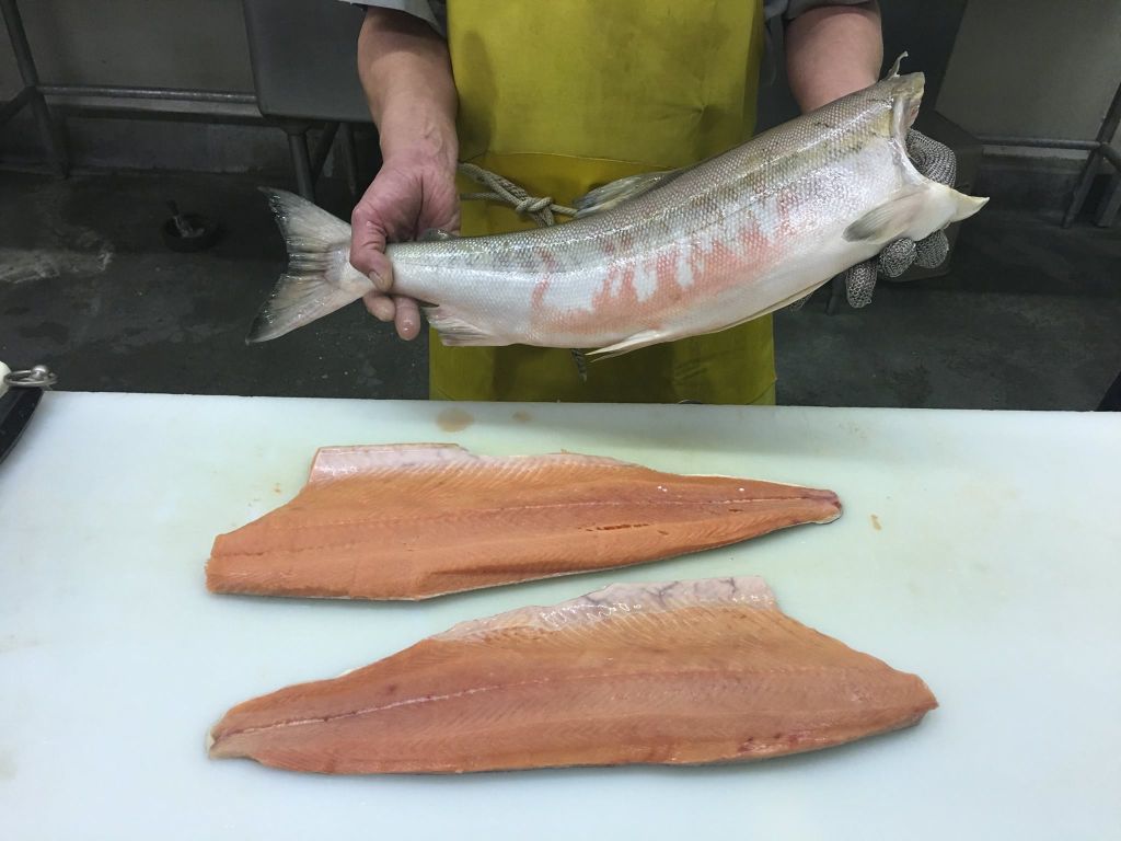 We've got some #beautiful #keta #salmon coming to #Nashville this week! #staytuned