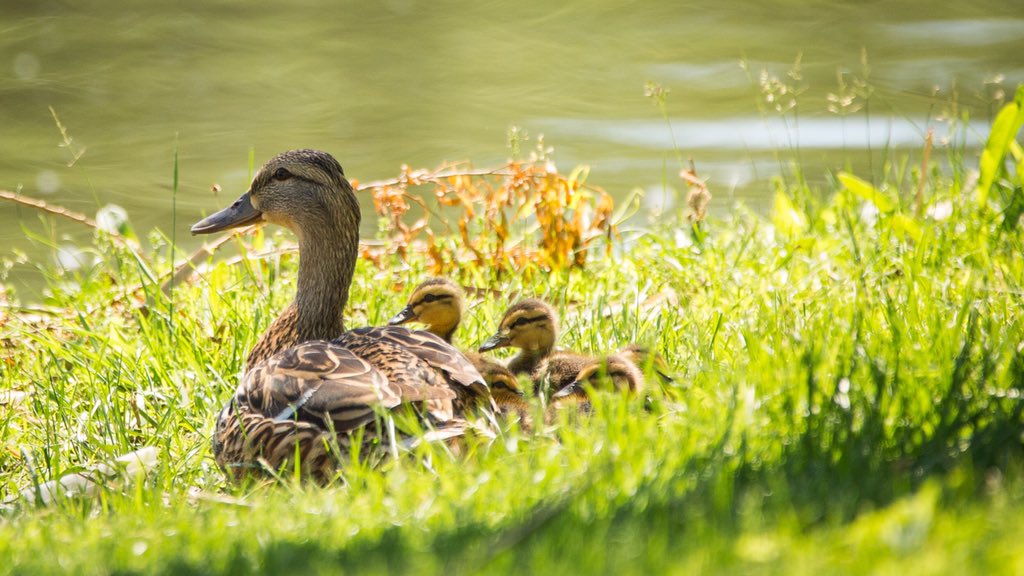 From all of us at HW, We want to wish you a very Happy Mothers Day