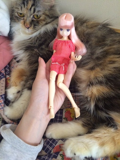 Twitterのコスプレ画像68