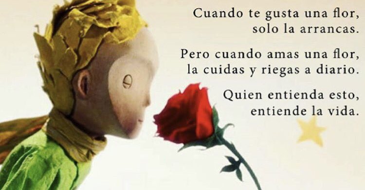 iPrincipito's tweet image. Cuando amas una flor, la cuidas y riegas a diario.
