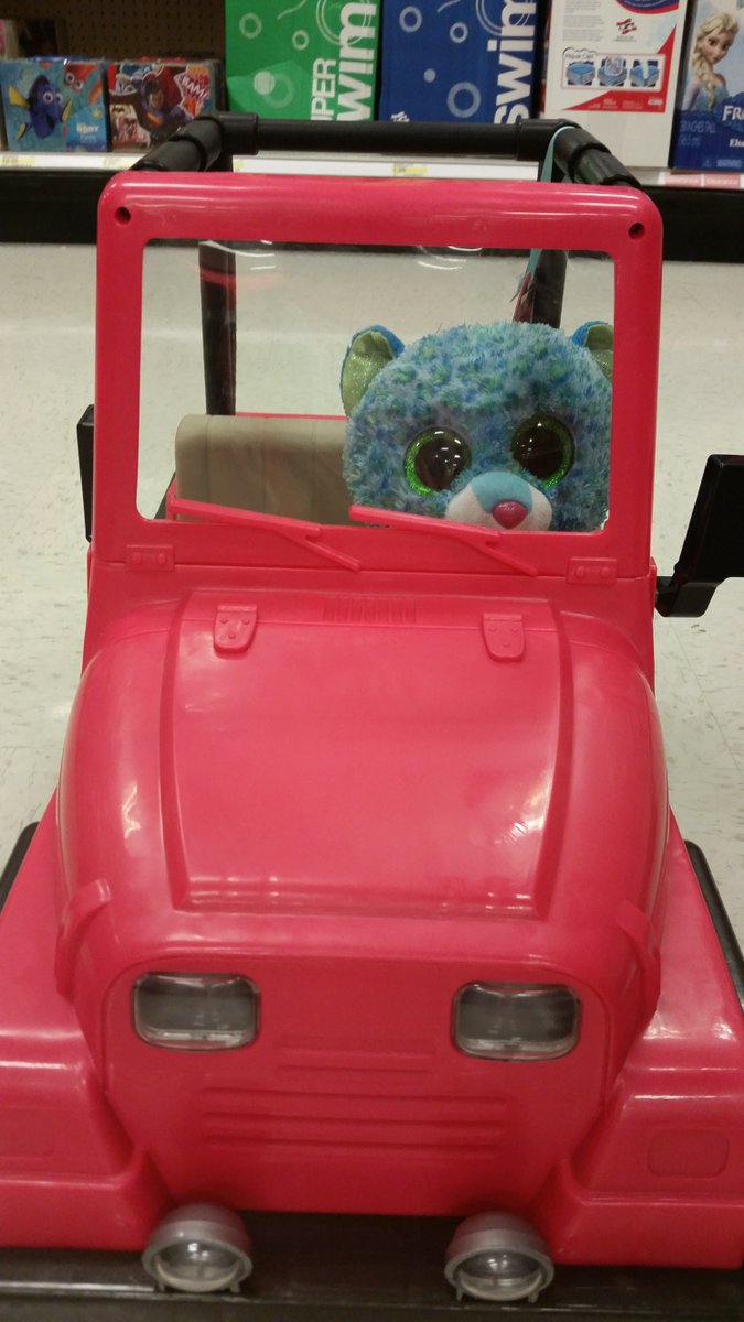 Bisell3's tweet photo. Kitty is a bit concerned by the minion's driving. https://t.co/lvm03Xqcf4