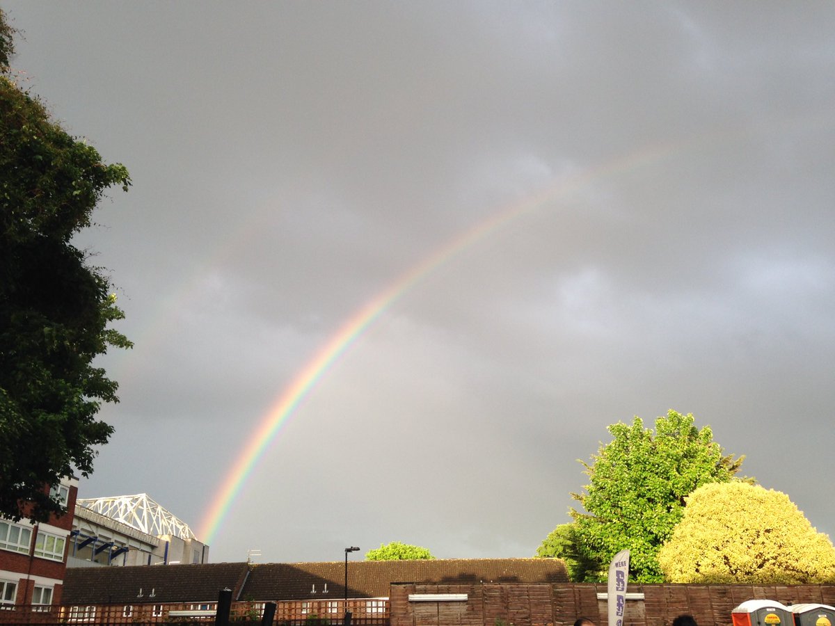Words cannot describe how much I love this club #THFC