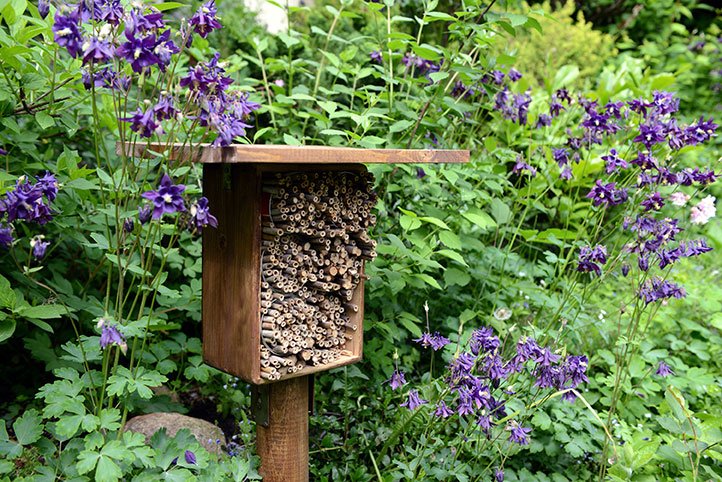 Build Native Bee Hotel : Build Native Bee Hotel | Modern Farmer | Scoopnest