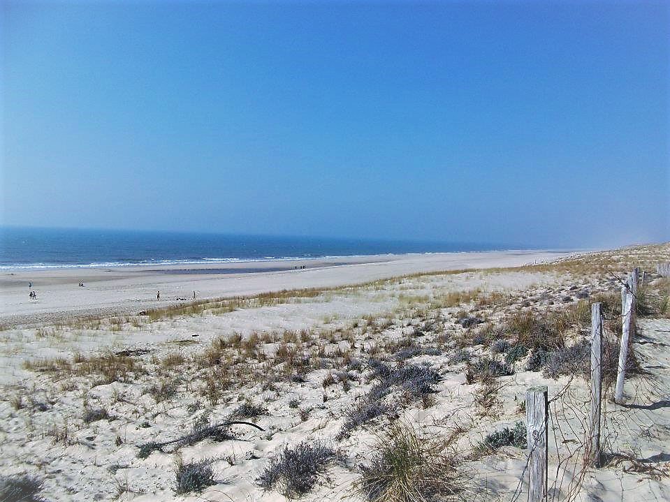 Explore Our Land tweet media