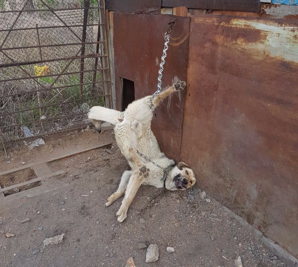 Ржачные картинки с надписями