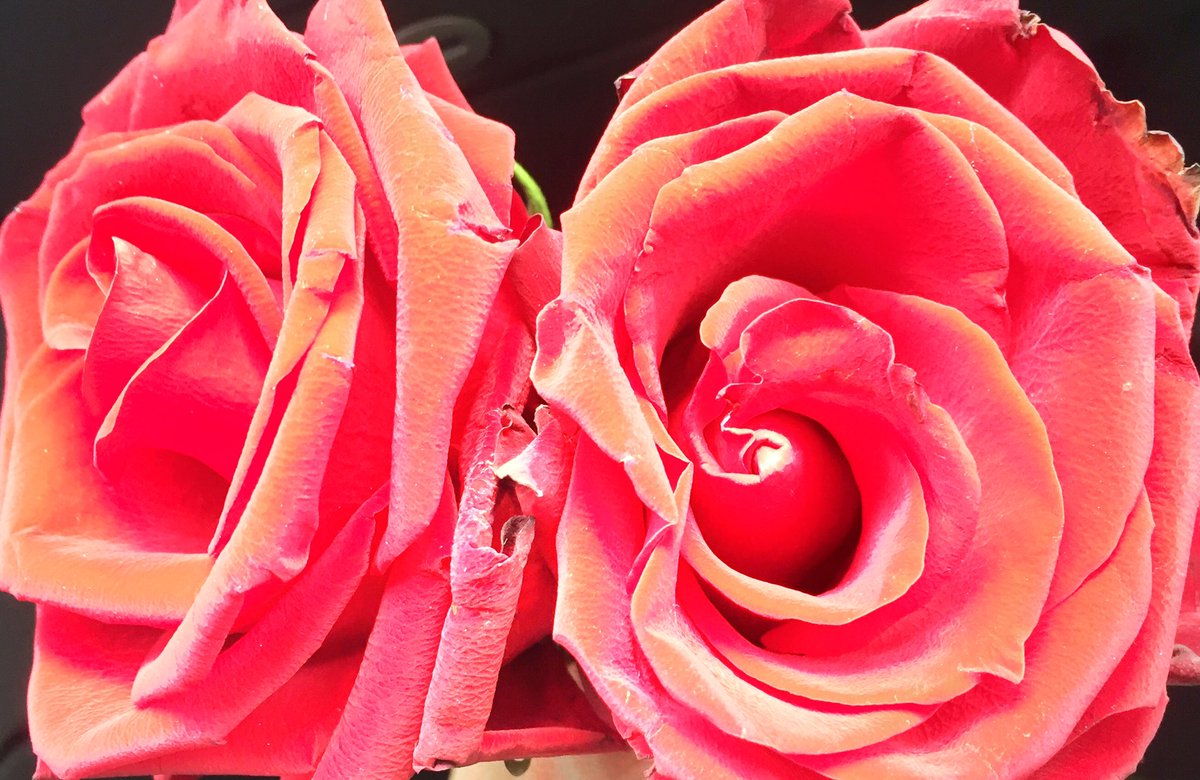 Schönen Muttertags-Abend❤