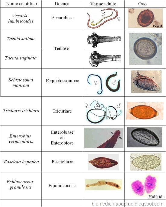 regim de tratament helmint cancer en la prostata y sus sintomas