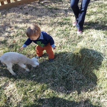 {enjoying one last pet before leaving for home after spending all day at the petting zoo} <a href="/ARGrey_GM/">Anastasia Grey</a>
