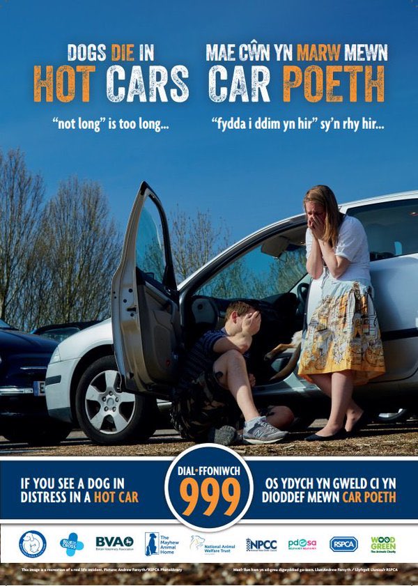 LlysNini's tweet photo. Dogs Die in Hot Cars Mae Cwn yn Mars mean Car Poeth  @RSPCA_Cardiff @helenem06 @SWEveningPost @964thewave @SwanseaCVS @CAVSCarms @NPTCVS RT https://t.co/xyJo2rBNs4