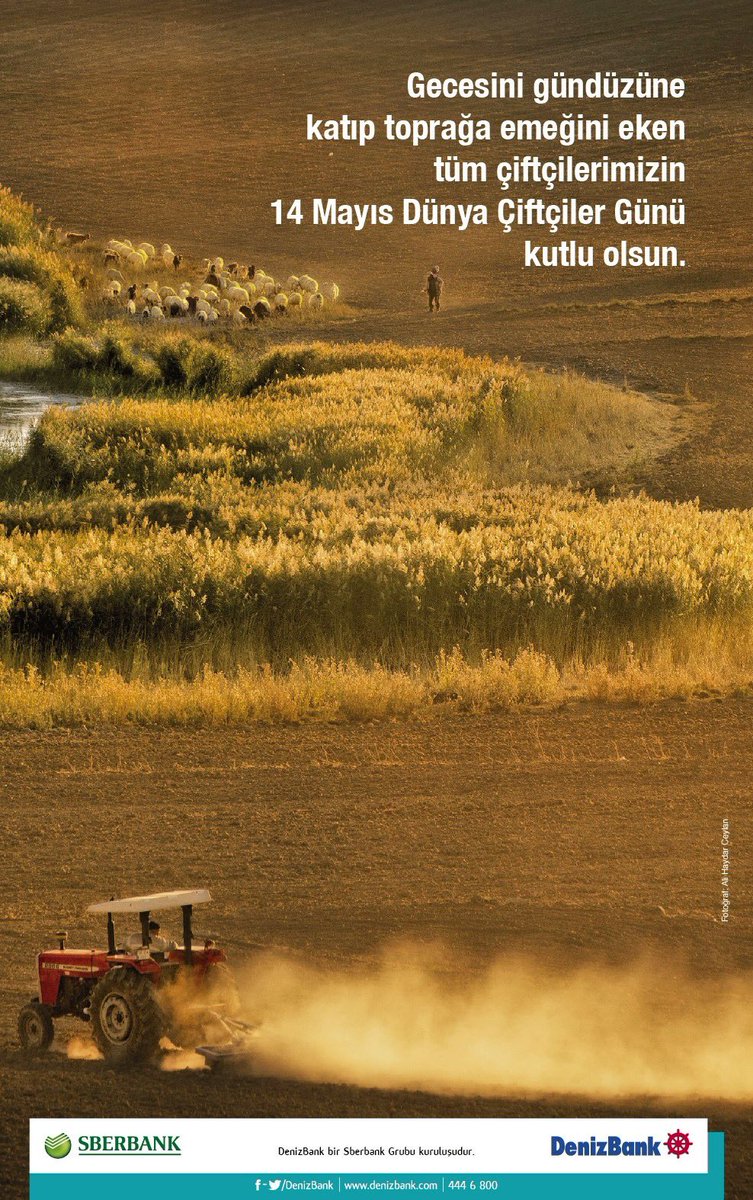 m.ali öz (@malimmalim) on Twitter photo 