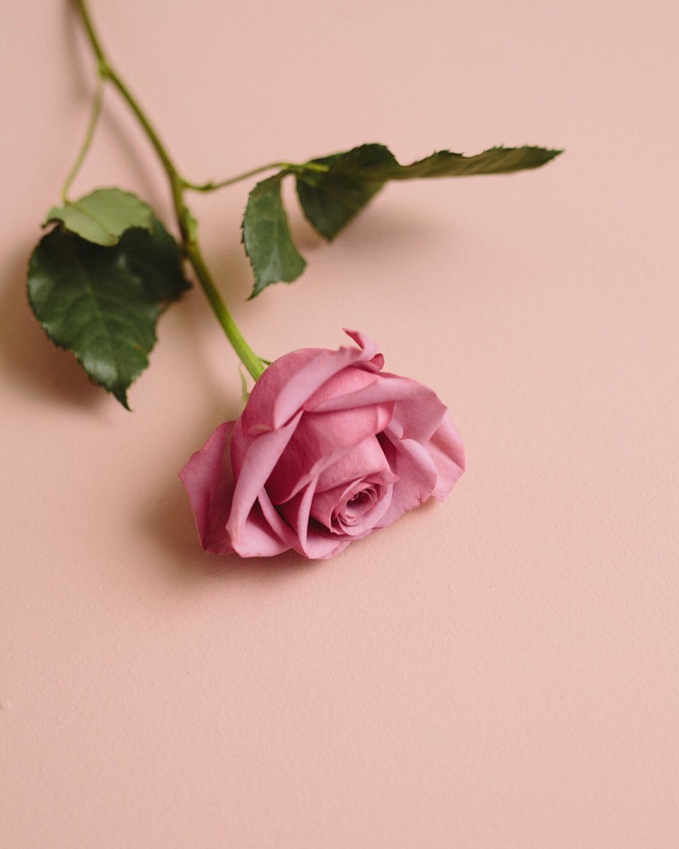 Happy Mother's Day! From the womb to the tomb we owe it all to our Moms - Thank You! #mothersday