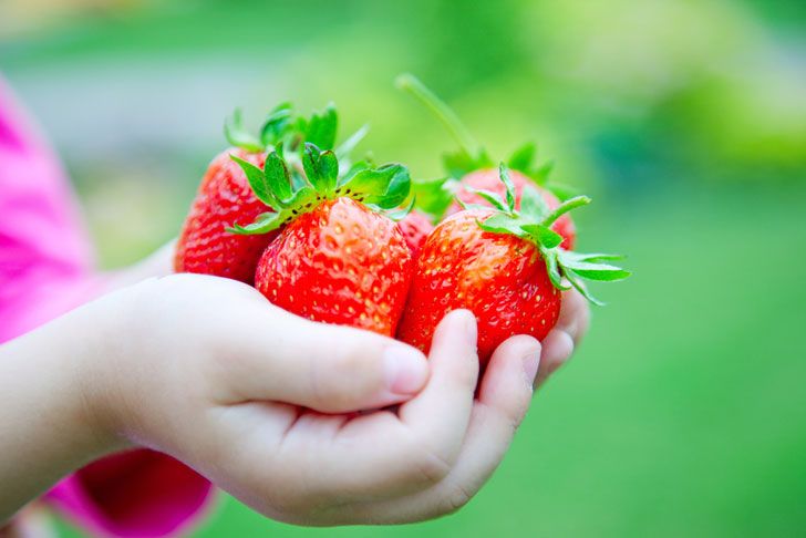 Little Foodies SE9 tweet media