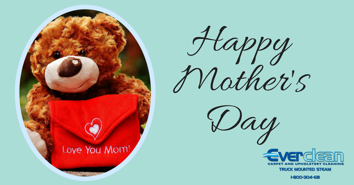 Everclean Carpet (CarpetEverclean) Twitter