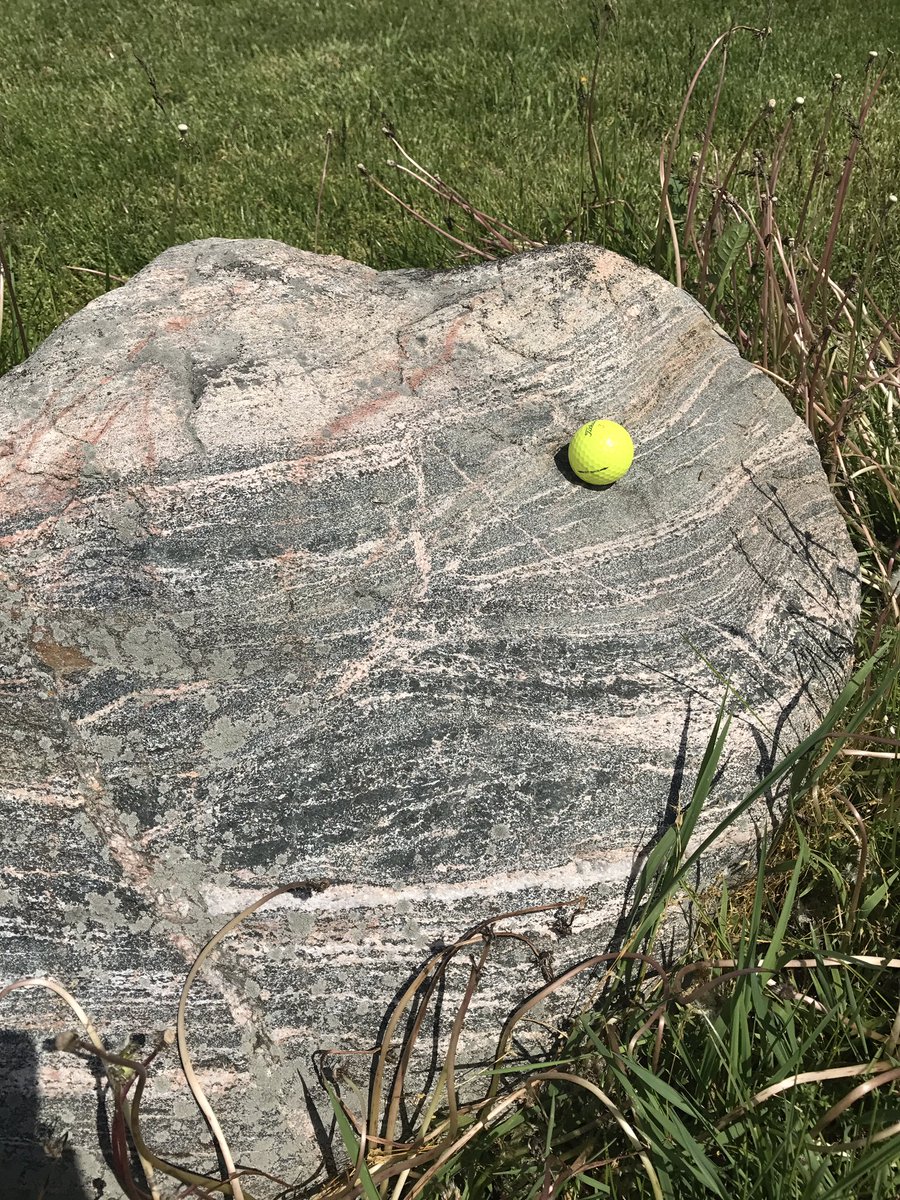 ILSTUGEO102's tweet photo. Who doesn't look at rocks when golfing?  #summer #golfrocks #thatsgneiss https://t.co/4peXzVrDqF