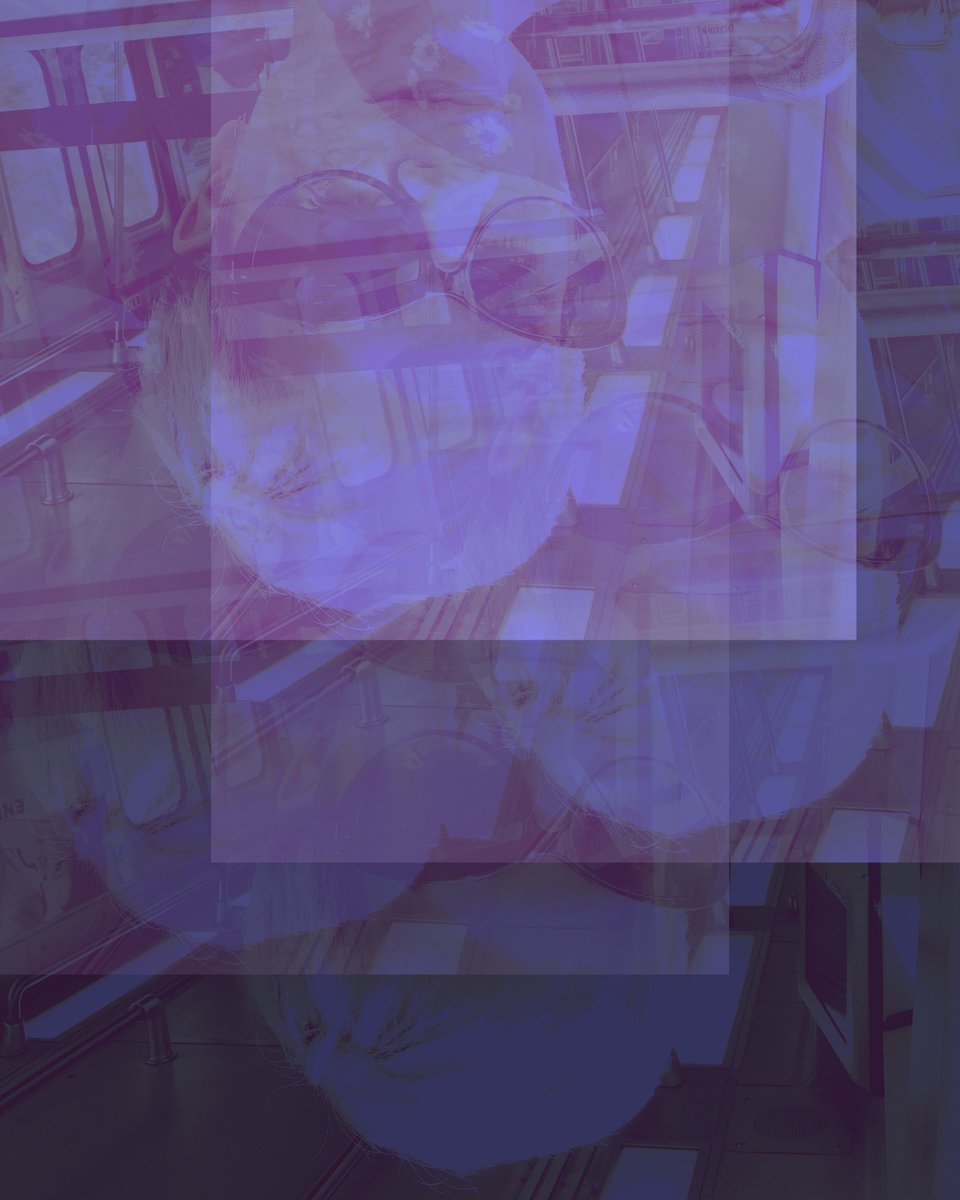 Kit Carson (Discokittenpr) Twitter