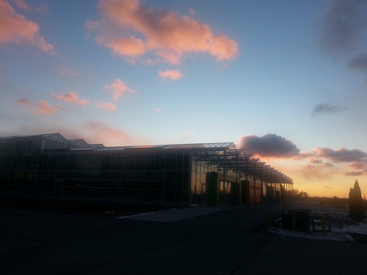The sun sets on another day of work <a href="/vinelandrsrch/">Vineland Research and Innovation Centre</a> :)